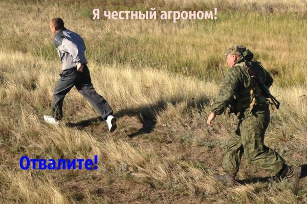Кракен рабочая ссылка тор