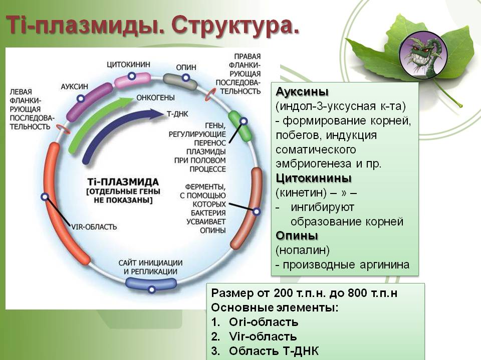 Вход в кракен